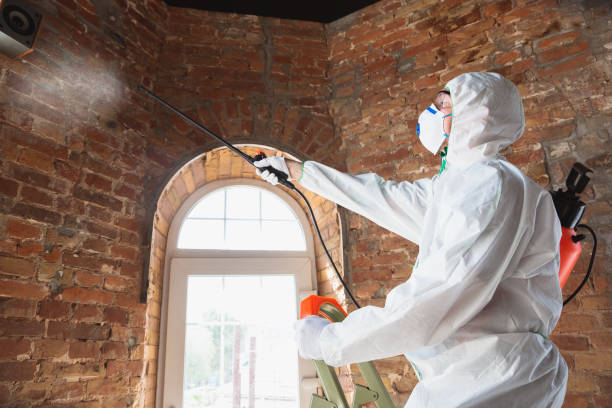  Hartford, AL Mold Removal Pros